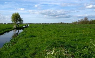 Landscape green meadow and canal with clear water