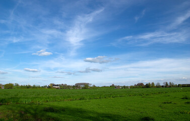 Fototapeta premium Landscape of green meadow
