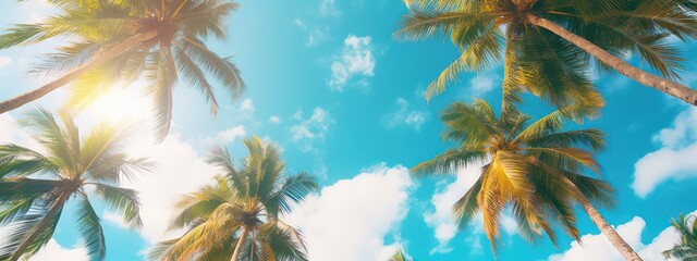 Fototapeta na wymiar Beautiful natural tropical background with palm trees against a blue sky with clouds