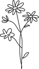 Botanical Lineart Clipart Wildflowers Clipart Floral Line Art Pencil Drawing Herbs Illustrations Minimalist Bouquets Wreath Leaves Flowers
