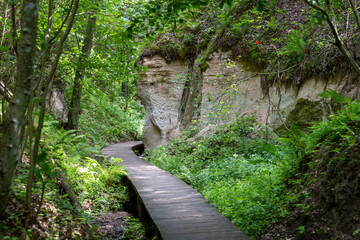 Sandstone cliffs and walkway in Hinni canyon (Hinni kanjon) Estonia