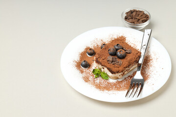 Concept of sweet food, Tiramisu cake, space for text