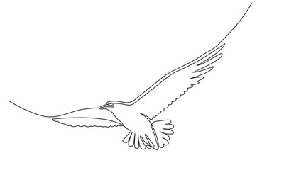 Continuous line Flying bird drawing .white background for decorative element.Doodle vector illustration Line art, outline.