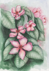 Watercolor illustration. Hand painted floral painting with pink blossoming flowers and green leaves. Apple, cherry blooming tree. Blooming sakura. Spring, summer nature. Interior banner, poster