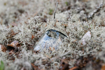 Broken bottle in the nature 