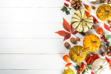 Autumn and Harvest background