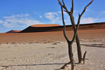 Namib desert