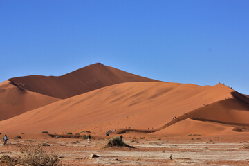 Namib desert