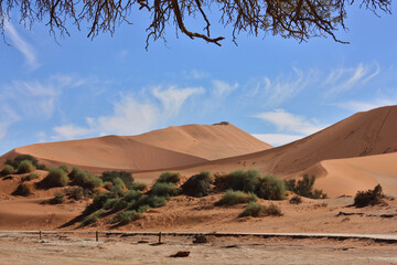 Namib desert