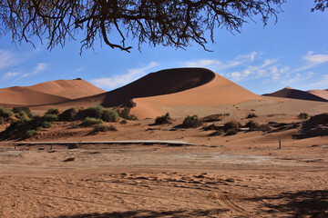 Namib desert