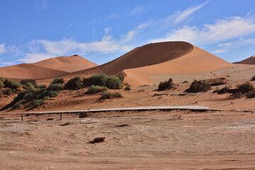 Namib desert