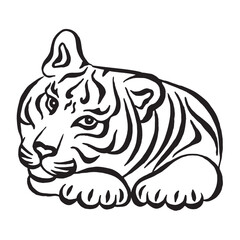 Tiger lying on front legs. Cute animal tiger black and white drawing isolated on white. Linear drawing. Calligraphy image. Black and white line art. Vector.Tattoo design.