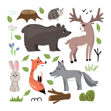 Set of forest animals made in flat style vector. Zoo cartoon collection for children book and posters. Bear, fox, here, hadgehog, deer © Елена Сирозодтинова