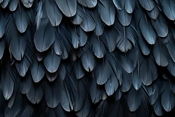 Zelfklevend Fotobehang Black feather pigeon bird. Generate Ai © nsit0108