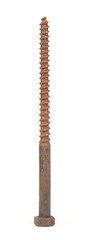 Large rusty screw on a white background