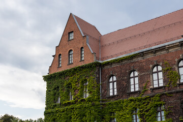 old building covered with ivy