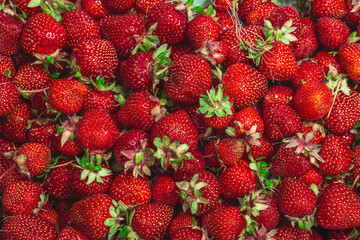 Strawberry background. Ripe fresh fruits, seasonal crop. Healthy superfood, vitamin