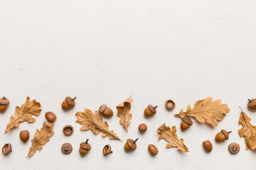 Branch with green oak tree leaves and acorns on colored background, close up top view