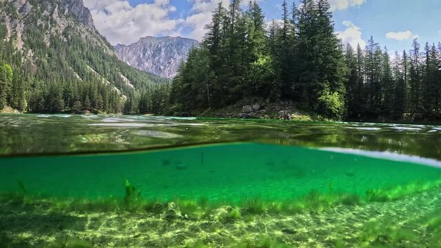 Half underwater shot of mountain lake with clear water in the Alps of Austria. Camera dive into the lake, rocky mountains and forest in the background. Alpine nature, Gruener See