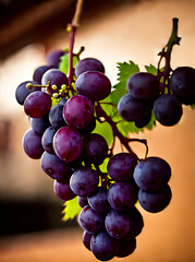 Realistic grapes wine neutral colors warm lighting