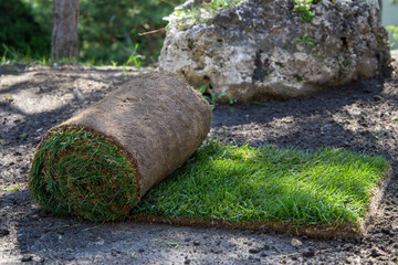 Lawn roll on a lawn in the garden. Selective focus.