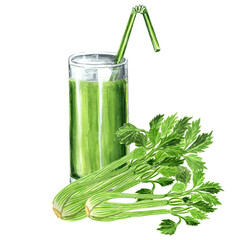 Watercolor illustration of green glass with apple and celery. Hand drawn watercolor illustration JPEG for design, fabrics, wrapping paper, wallpaper, 
covers, greeting cards, prints on clothing