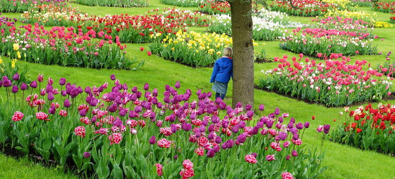 blaze of color in the garden show,farbenpracht in der gartenschau