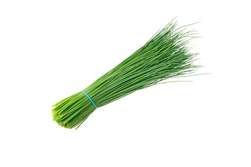Green chives leaves vegetable bunch tied with blue rubber band isolated transparent png. Allium schoenoprasum.