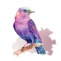  Lilac-breasted Roller bird watercolor paint