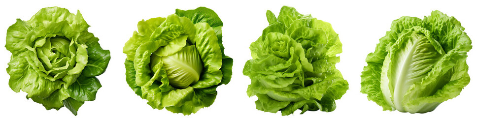Salad "Iceberg". Iceberg lettuce top/side view. Lettuce leaves, green salad. Isolated on a transparent background. KI.