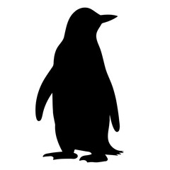 Fototapeta premium Penguin standing silhouette. Vector illustration