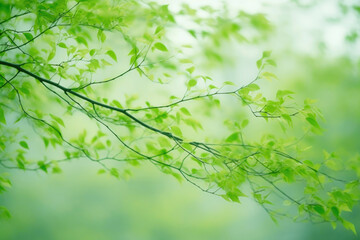 Fototapeta premium Dynamic Foliage