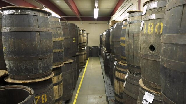 Rows of many wooden barrels stacked on top of each other for storing and fermenting dry tobacco leaves at a cigar factory 