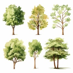 set of trees with watercolor illustrations
