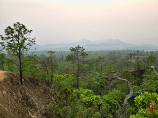 A forest at Pai Canyon in Pai in Thailand taken from above with the drone in the background hills with a smoggy sky.