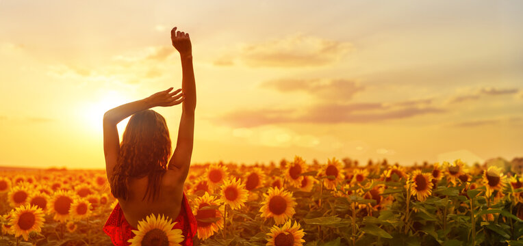 beautiful young woman in a red dress at sunset posing in a field of sunflowers, against the sky