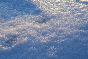 Snow in the early morning of winter