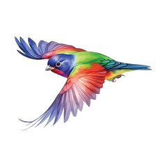 Fototapeta premium Painted Bunting watercolor paint