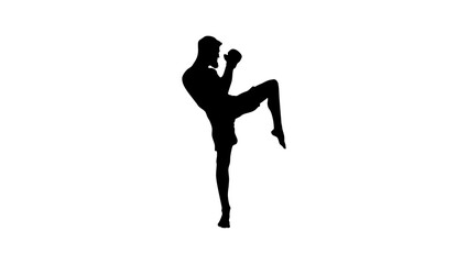 A silhouette of a kickboxer in a fighting stance, ready to strike