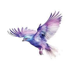 Obraz premium Lilac-breasted Roller bird watercolor paint