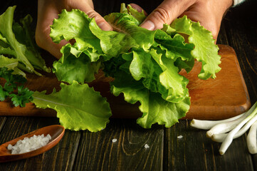 The chef sorts lettuce leaves on a kitchen board before preparing a vegetarian meal. Vegetable diet concept
