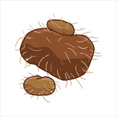 vector illustration of dioscorea hispida tuber as a fresh plantation product on white background, can be used as banner, poster or template