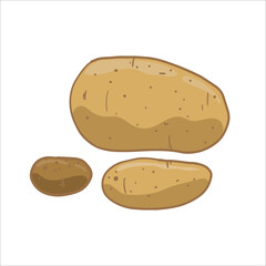 vector illustration of potatoes as a fresh plantation product on a white background, can be used as a banner, poster or template