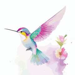 A hummingbird painted in soft watercolor hues, surrounded by a bright white backdrop.