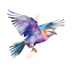 Fototapeta premium Lilac-breasted Roller bird watercolor paint