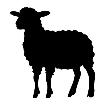 Lamb standing silhouette. Vector illustration