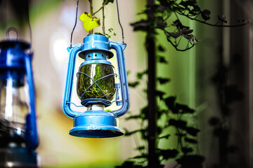 lantern in the garden