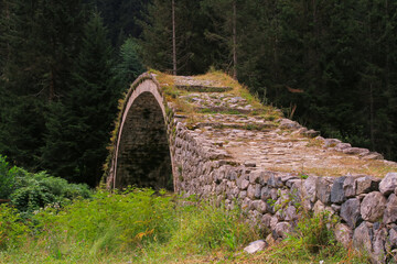 Old stone bridges over the Fırtına Stream, very solid and useful