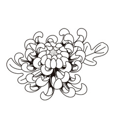 Japanese Traditional Tattoo