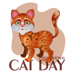 Internationa cat day!Tabby ginger cat